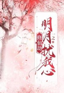 浮华乱世