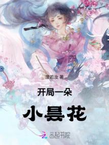 凰者风华