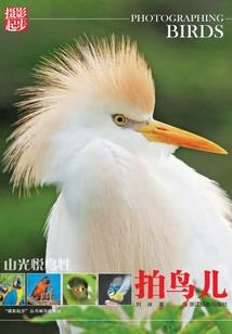 洪荒：我为三界至尊
