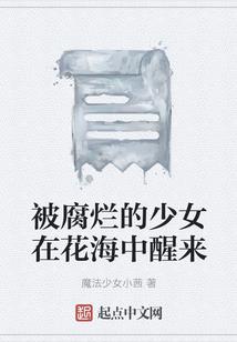 城主纪事