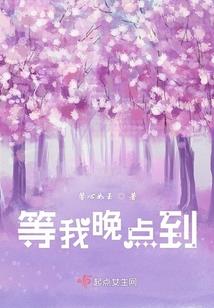 凤储城围