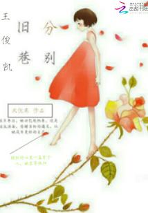小厨娘追夫记