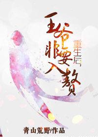 绝剑武帝
