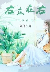 骑士的风情