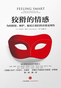 崛起的魔法师