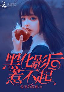 剑道之皇