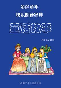 掠星苍穹
