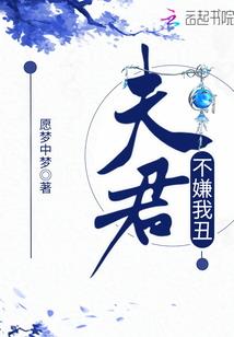 宠物小精灵别样人生
