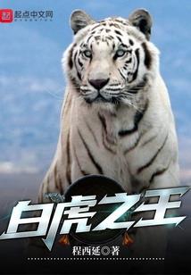 天启之天启眼