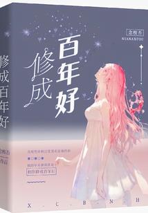 会穿越的高能盗贼