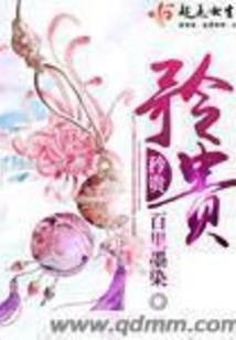 机武风云传奇