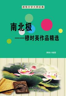 侧妃之情惑天下