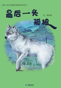 威尔的异世大冒险