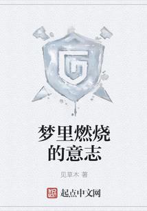 乌贼娘之天空的侵略者