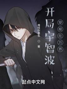 在海贼世界打造正义秩序