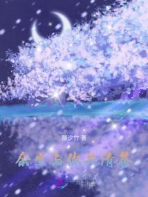 纸飞机o