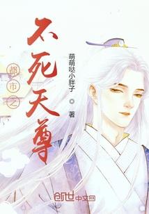 天盗异闻录
