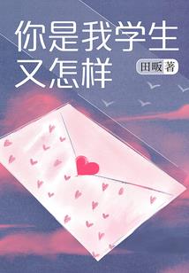 灭星辰之星座传承者