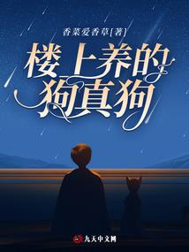守护十二星使