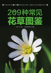 幻尘七绝