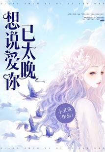 杀手小毒妃
