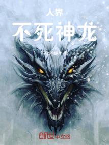 海贼王之暗杀者