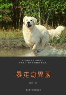 别样真爱