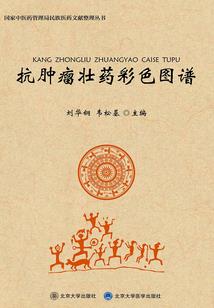 亡骨巫师