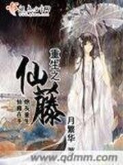法则大师