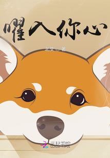 迷途归去来