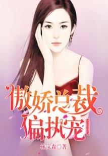 恋上天使的羽翼