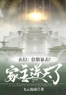 邪王追妻：倾城姑娘不好惹