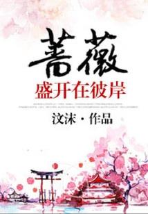 综网：黎明纪元