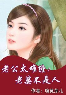 宠物小精灵之风云