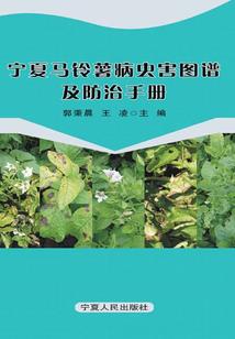 梦中的樱花瓣
