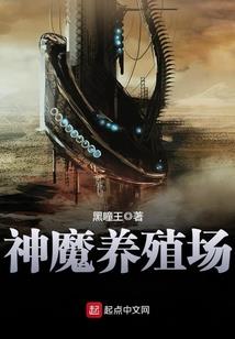厨刀