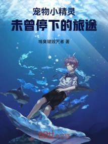 我的VR眼镜