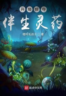 蒸汽时代我与机械师的契约