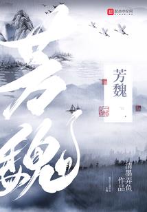 安列卡手记