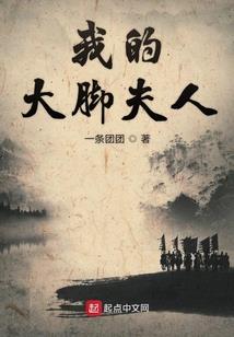 火焰纹章圣魔之光石