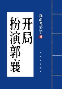 侠盗神偷