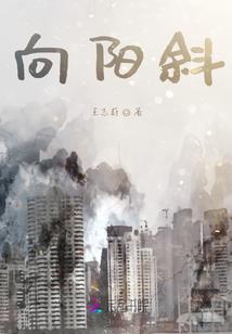 从天明开始