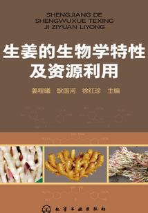 珠魂传说