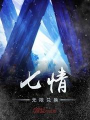 精灵之黑白世代