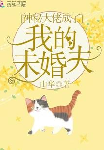 造假者