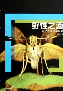 守护甜心记事
