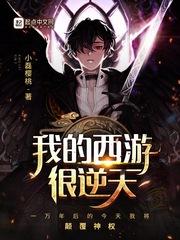 宫锁涟漪