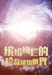 名侦探柯南之白色的面具