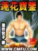 飞鸿踏雪传