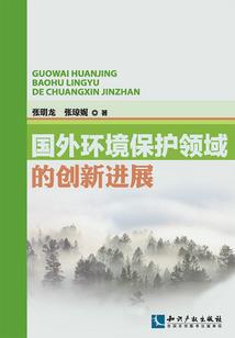 星星的图腾
